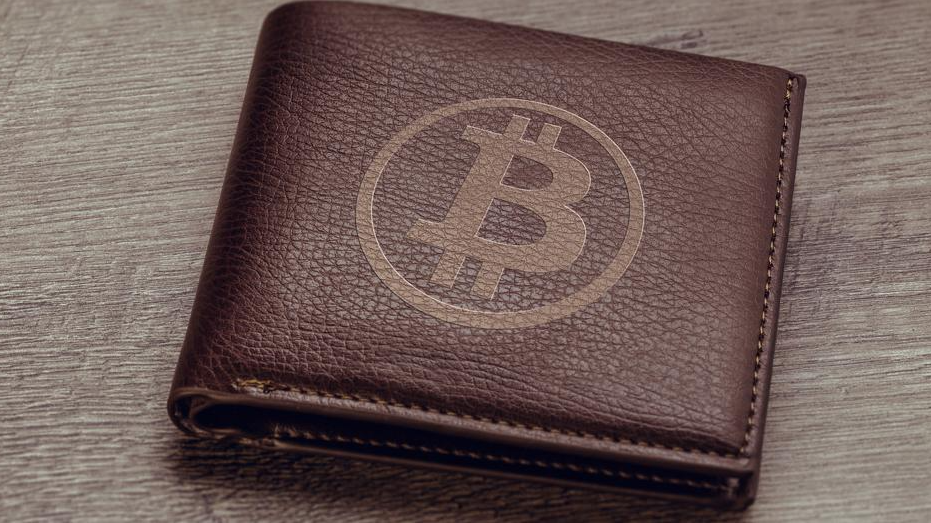 What Is a Bitcoin Wallet?